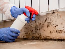 Mold Odor Removal Services in French Island, WI